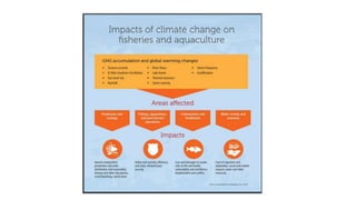 IMPACTS OF CLIMATE CHANGE ON AGRICULTURE AND ALLIED.pptx