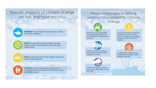 IMPACTS OF CLIMATE CHANGE ON AGRICULTURE AND ALLIED.pptx