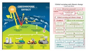 IMPACTS OF CLIMATE CHANGE ON AGRICULTURE AND ALLIED.pptx