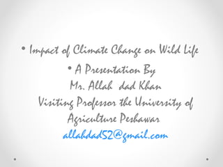 Impacts of climate change on wildlife A Presentation By Mr. Allah dad ...