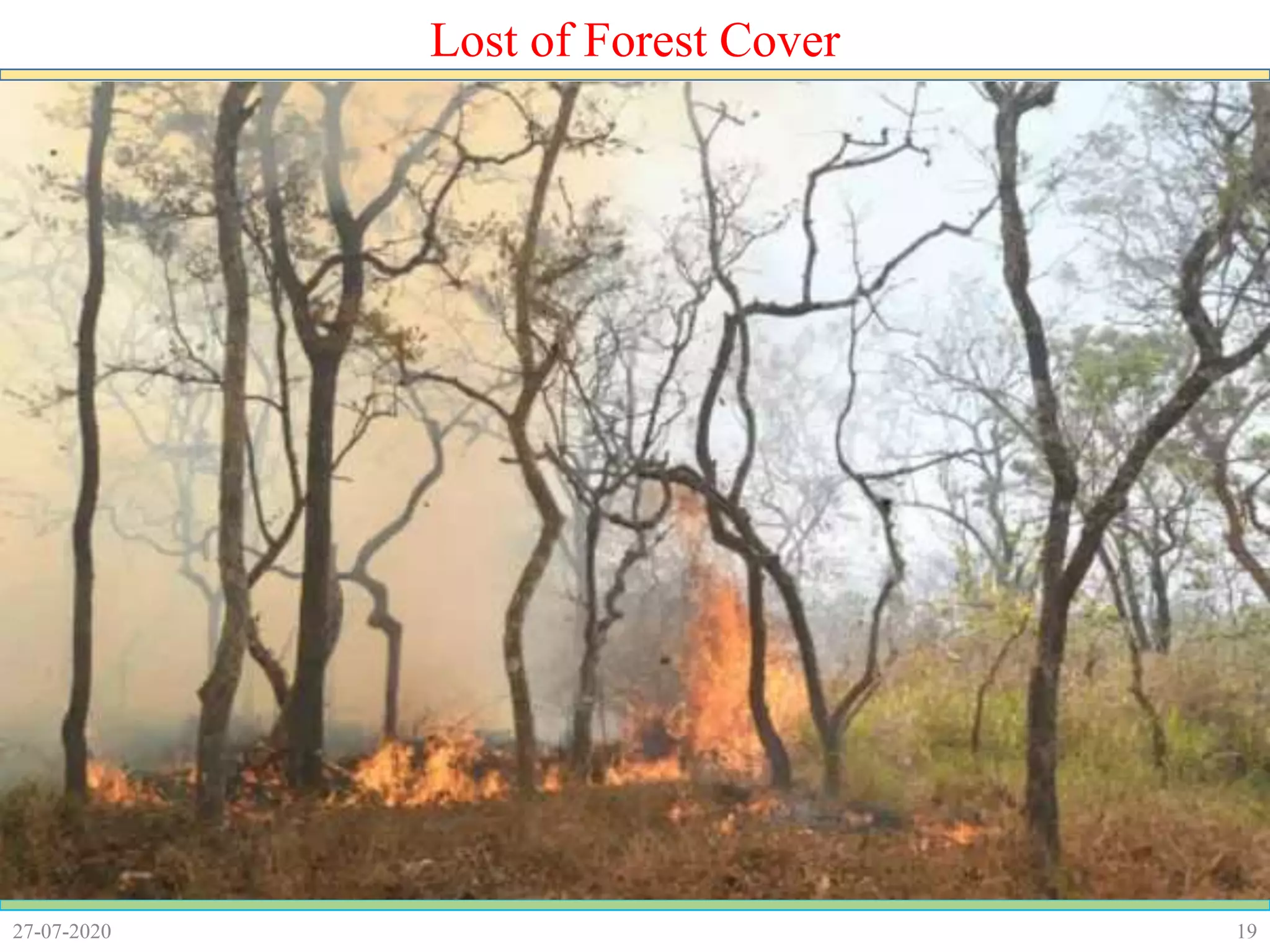 1927-07-2020
Lost of Forest Cover
 