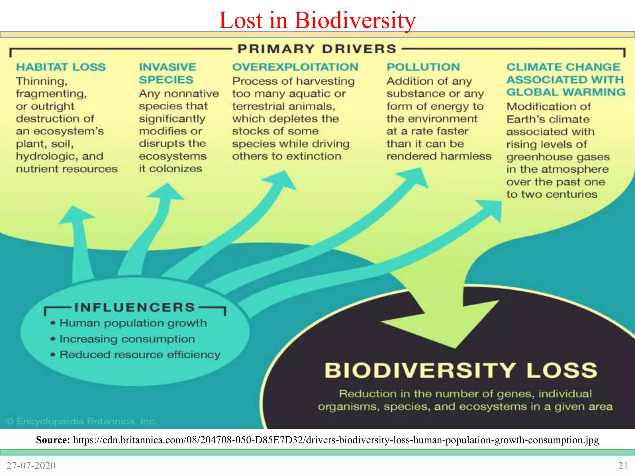 2127-07-2020
Lost in Biodiversity
Source: https://cdn.britannica.com/08/204708-050-D85E7D32/drivers-biodiversity-loss-human-population-growth-consumption.jpg
 