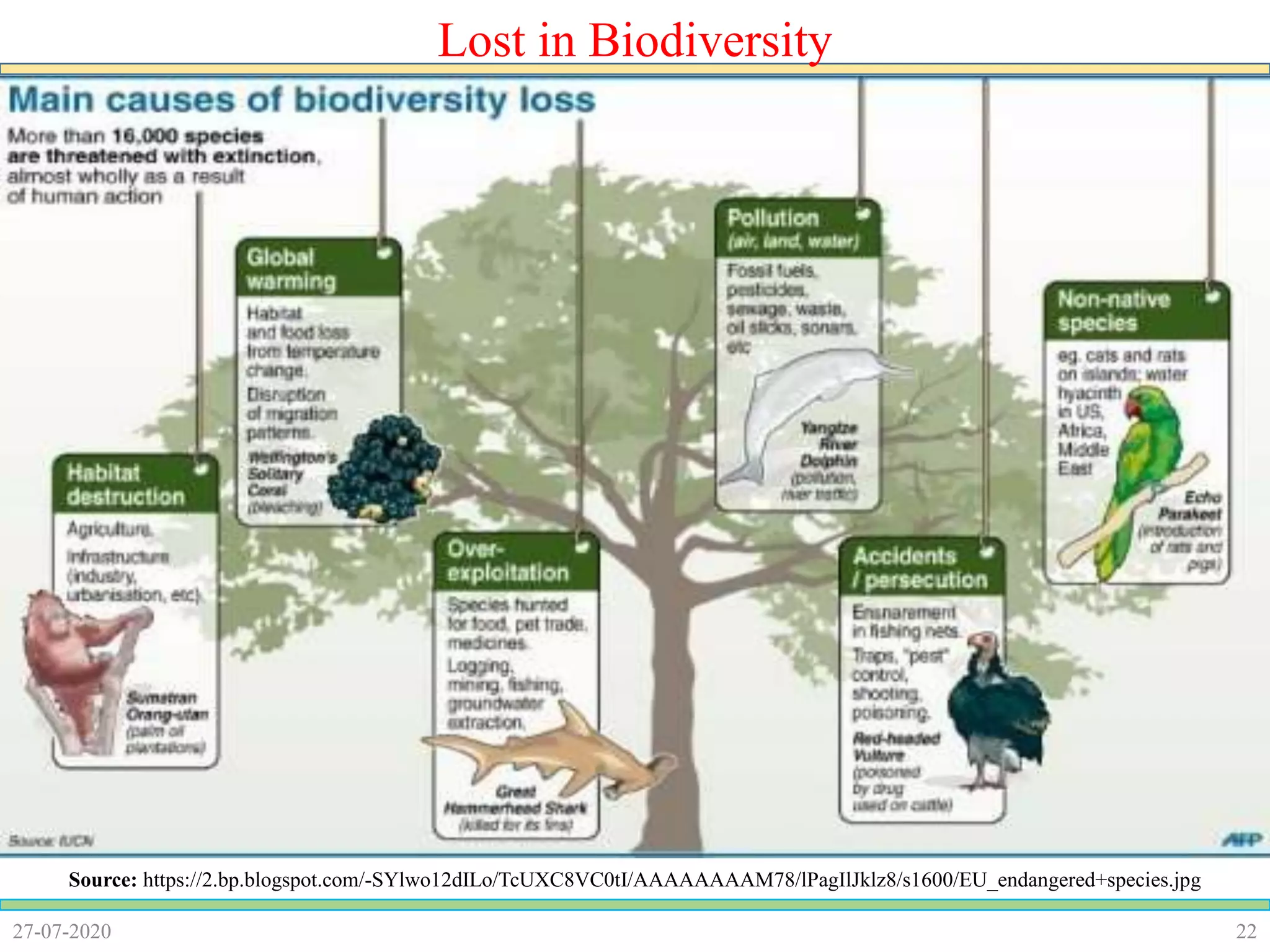 2227-07-2020
Lost in Biodiversity
Source: https://2.bp.blogspot.com/-SYlwo12dILo/TcUXC8VC0tI/AAAAAAAAM78/lPagIlJklz8/s1600/EU_endangered+species.jpg
 