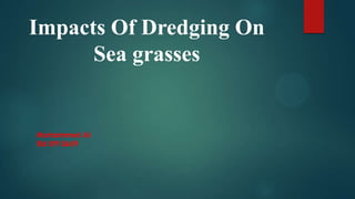 Impacts Of Dredging On
Sea grasses

Mohammed Al
Eid 0910659

 