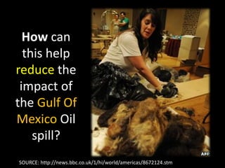 How can
this help
reduce the
impact of
the Gulf Of
Mexico Oil
spill?
SOURCE: http://news.bbc.co.uk/1/hi/world/americas/8672124.stm
 