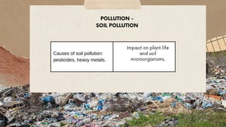 IMPACTS OF HUMAN ACTIVITIES ON ECOSYSTEMS | PDF