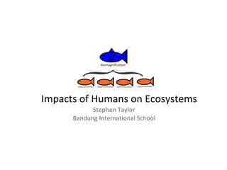 Impacts of Humans on Ecosystems