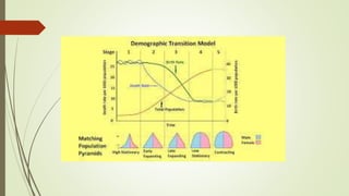 Impacts of population