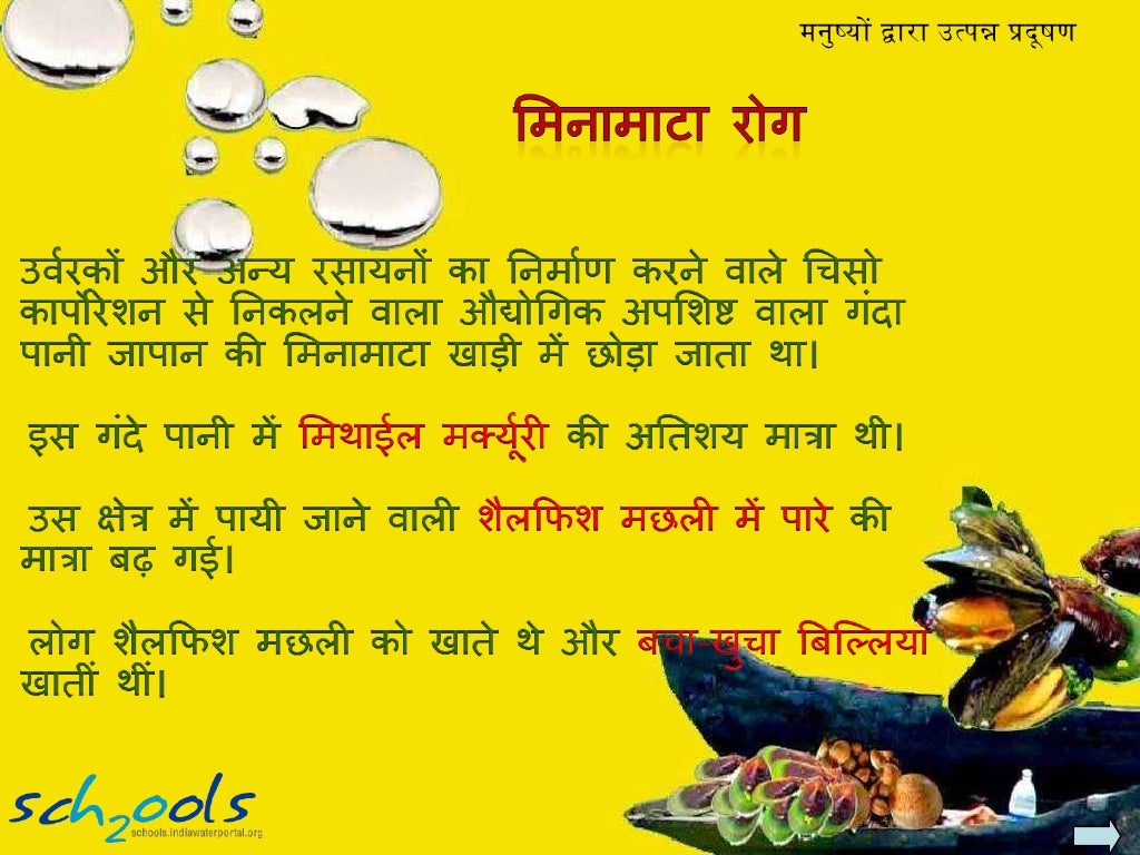 Impacts of water pollution hindi