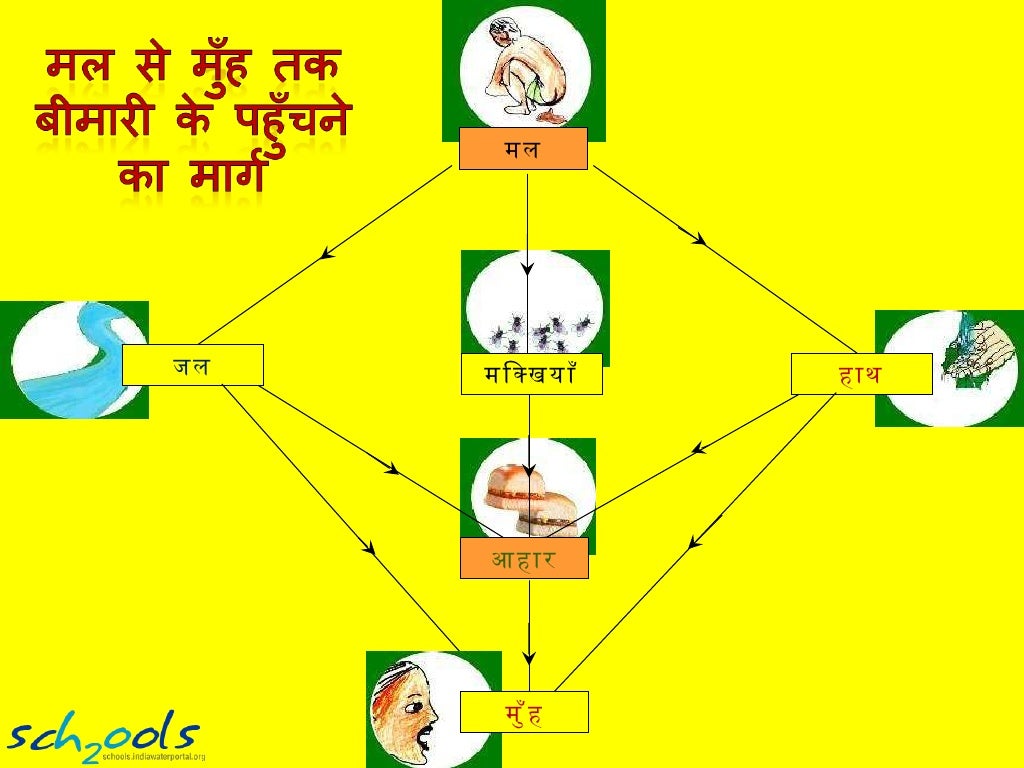Impacts of water pollution hindi