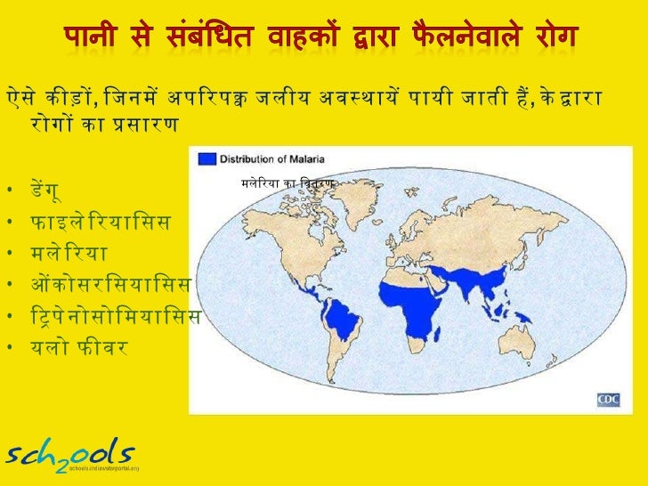 Impacts of water pollution hindi