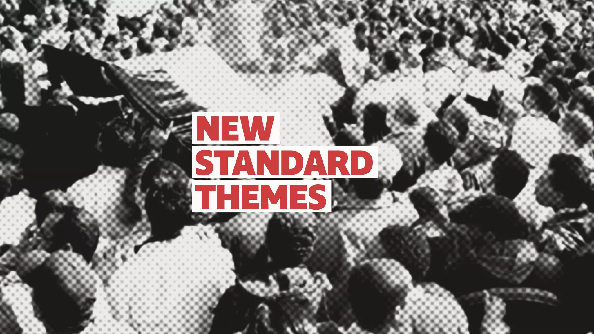 NEW
STANDARD
THEMES
 