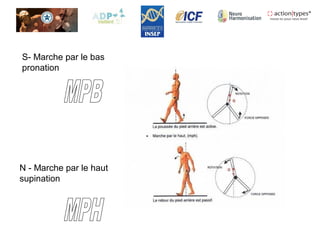 S- Marche par le bas
pronation
N - Marche par le haut
supination
 