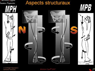 2. Le mouvement naturel & préférences naturelles
move to your next level
S- Marche par le bas
pronation N - Marche par le haut
supination
 