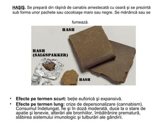 HAŞIŞ. Se prepară din răşină de canabis amestecată cu ceară şi se prezintă
sub forma unor pachete sau cocoloaşe maro sau negre. Se mănâncă sau se
fumează.
• Efecte pe termen scurt: beţie euforică şi expansivă.
• Efecte pe termen lung: crize de depersonalizare (cannabism).
Consumul îndelungat, fie şi în doză moderată, duce la o stare de
apatie şi lenevie, alterări ale bronhiilor, îmbătrânire prematură,
slăbirea sistemului imunologic şi tulburări ale gândirii.
 