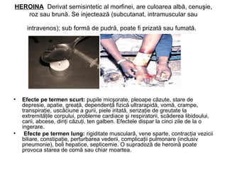 HEROINA Derivat semisintetic al morfinei, are culoarea albă, cenuşie,
roz sau brună. Se injectează (subcutanat, intramuscular sau
intravenos); sub formă de pudră, poate fi prizată sau fumată.
• Efecte pe termen scurt: pupile micşorate, pleoape căzute, stare de
depresie, apatie, greaţă, dependenţă fizică ultrarapidă, vomă, crampe,
transpiraţie, uscăciune a gurii, piele iritată, senzaţie de greutate la
extremităţile corpului, probleme cardiace şi respiratorii, scăderea libidoului,
carii, abcese, dinţi căzuţi, ten galben. Efectele dispar la cinci zile de la o
ingerare.
• Efecte pe termen lung: rigiditate musculară, vene sparte, contracţia vezicii
biliare, constipaţie, perturbarea vederii, complicaţii pulmonare (inclusiv
pneumonie), boli hepatice, septicemie. O supradoză de heroină poate
provoca starea de comă sau chiar moartea.
 