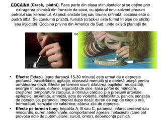 COCAINA (Crack, piatră). Face parte din clasa stimulantelor şi se obţine prin
extragerea chimică din frunzele de coca, cu ajutorul unui solvent precum
petrolul sau kerosenul. Aspect: cristale bej sau brune; rafinată, cocaina este o
pudră albă. Se consumă prizată, fumată (crack-ul este fumat în pipe de sticlă)
sau injectată. Cocaina privine din America de Sud, unde există plantaţii de
coca.
• Efecte: Extazul (care durează 15-30 minute) este urmat de o depresie
profundă, irascibilitate, agitaţie, oboseală mentală şi o dorinţă uriaşă pentru
următoarea doză. Efecte pe termen scurt: dilatarea pupilelor, mucozităţi,
energie în exces, euforie, siguranţă de sine, lipsa poftei de mâncare,
creşterea temperaturii corpului, a ritmului cardiac şi a presiunii arteriale,
epilepsie, anxietate, amnezii, acte de violenţă, instabilitate, panică, senzaţie
de persecuţie, paranoia; imediat dupa doză: dureri de cap de circa o oră,
tremurături, senzaţie de cald/rece; câteva zile de depresie.
• Efecte pe termen lung: hepatita A, B sau C, paranoia, infarct cerebral sau
miocardic, dureri abdominale, comportament agresiv, halucinaţii (care pot
provoca acte de automutilare, suicid, omor), dependenţă psihică.
 