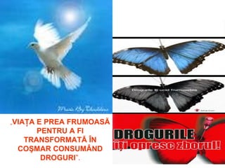 „VIAŢA E PREA FRUMOASĂ
PENTRU A FI
TRANSFORMATĂ ÎN
COŞMAR CONSUMÂND
DROGURI”.
 