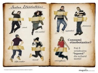 Eudochia PACIU. Impactul consumului de droguri.