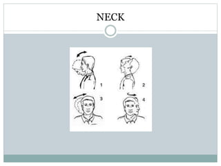 NECK
 