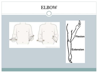 ELBOW
 