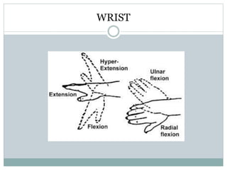 WRIST
 