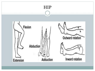 HIP
 