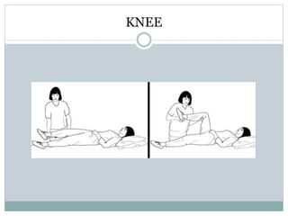 KNEE
 