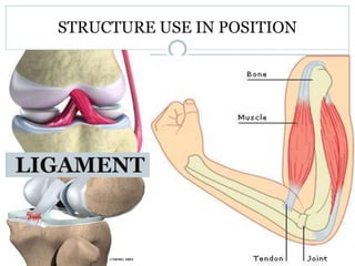 STRUCTURE USE IN POSITION
 
