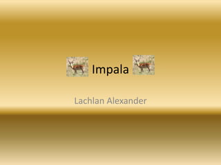 Impala | PPTX