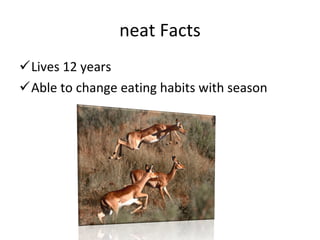 neat Facts Lives 12 years Able to change eating habits with season