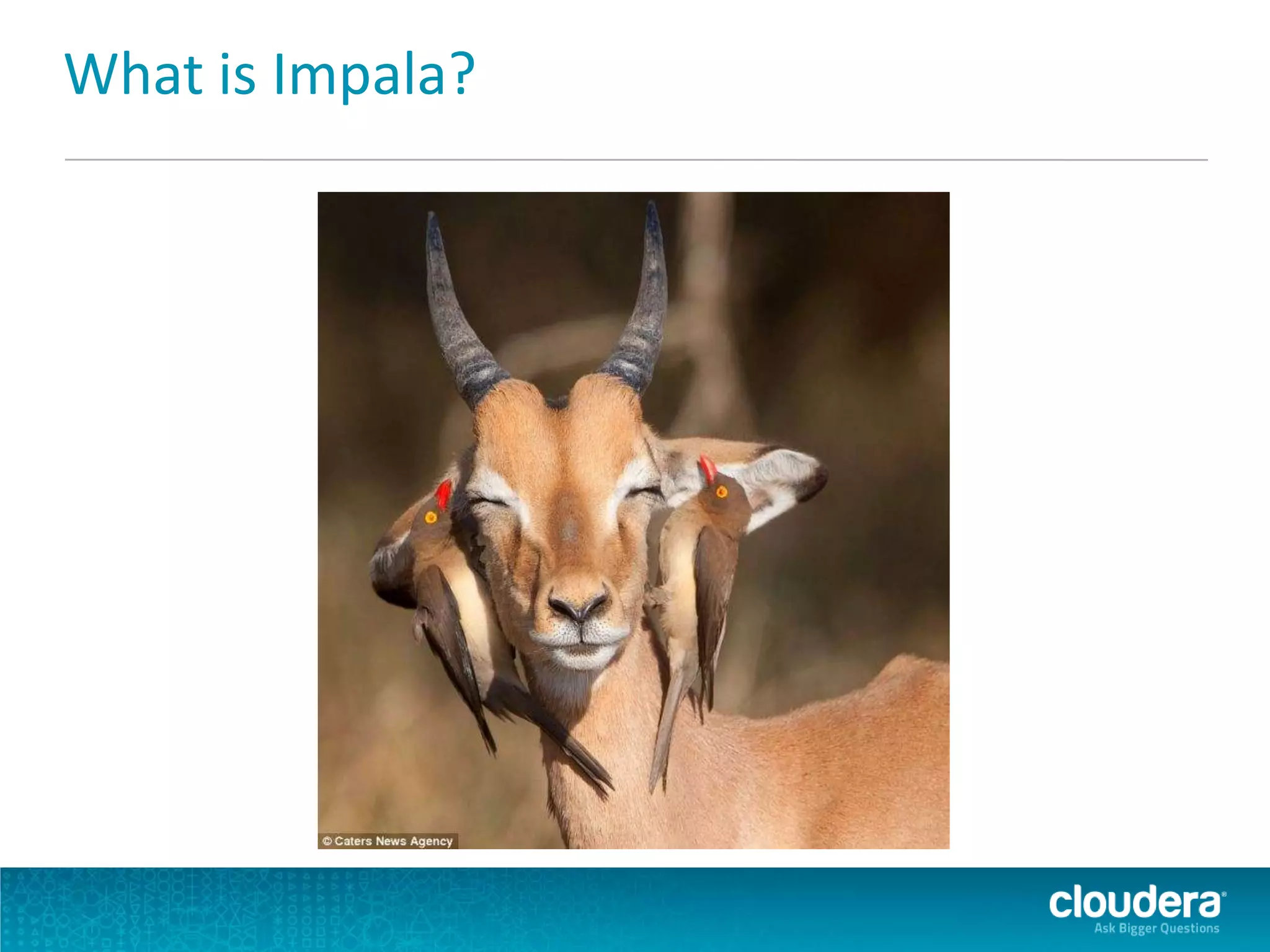 What is Impala?
 