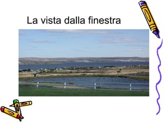 La vista dalla finestra 