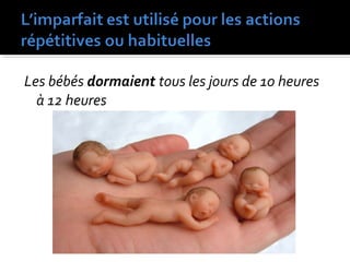 Les bébés dormaient tous les jours de 10 heures
à 12 heures
 