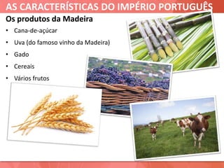 AS CARACTERÍSTICAS DO IMPÉRIO PORTUGUÊS
Os produtos da Madeira
• Cana-de-açúcar
• Uva (do famoso vinho da Madeira)
• Gado
• Cereais
• Vários frutos
 