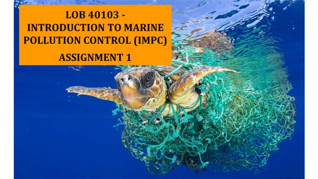 marine pollution assignment pdf