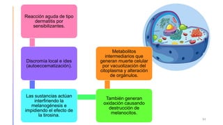 Reacción aguda de tipo
dermatitis por
sensibilizantes.
Discromía local e ides
(autoeccematización).
Las sustancias actúan
interfiriendo la
melanogénesis e
impidiendo el efecto de
la tirosina.
También generan
oxidación causando
destrucción de
melanocitos.
Metabolitos
intermediarios que
generan muerte celular
por vacuolización del
citoplasma y alteración
de orgánulos.
31
 