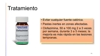Tratamiento
• Evitar cualquier fuente calórica.
• Pastas inertes en zonas afectadas.
• Clofazimina, 50 a 100 mg 2 a 3 veces
por semana, durante 3 a 5 meses; la
mejoría es más rápida en las lesiones
tempranas.
45
 