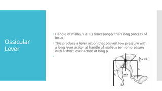 Ossicular
Lever
 Handle of malleus is 1.3 times longer than long process of
incus
 This produce a lever action that convert low pressure with
a long lever action at handle of malleus to high pressure
with a short lever action at long process of incus

 