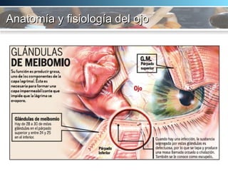 Anatomía y fisiología del ojo 