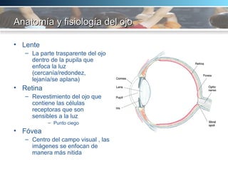 Anatomía y fisiología del ojo Lente La parte trasparente del ojo dentro de la pupila que enfoca la luz (cercanía/redondez, lejanía/se aplana) Retina Revestimiento del ojo que contiene las células receptoras que son sensibles a la luz Punto ciego  Fóvea Centro del campo visual , las imágenes se enfocan de manera más nitida 