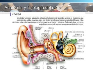 Anatomía y fisiología del oído 