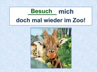 Besuch 
________ mich 
doch mal wieder im Zoo! 
 