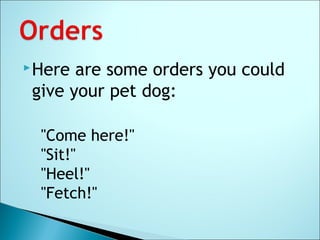 Here are some orders you could
give your pet dog:
"Come here!"
"Sit!"
"Heel!"
"Fetch!"
 