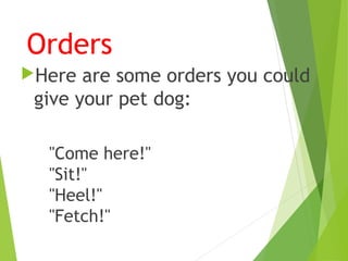 Orders
Here are some orders you could
give your pet dog:
"Come here!"
"Sit!"
"Heel!"
"Fetch!"
 