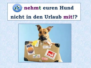 Ihr nehmt euren Hund
nicht in den Urlaub mit!?
 