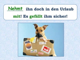 ________ ihn doch in den Urlaub
mit! Es gefällt ihm sicher!
Nehmt
 