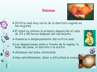 Síntomas
Orificio anal muy cerca de la abertura vaginal en
las mujeres.
El bebé no elimina la primera deposición al cabo
de 24 a 48 horas después del nacimiento.
Ausencia o desplazamiento del orificio anal.
Las deposiciones salen a través de la vagina, la
base del pene, el escroto o la uretra.
Abdomen del bebe distendido
Hay estreñimiento, dolor y dificultad al evacuar.
 