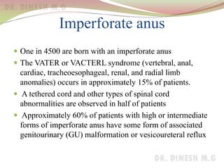 Imperforate anus
 One in 4500 are born with an imperforate anus
 The VATER or VACTERL syndrome (vertebral, anal,
cardiac, tracheoesophageal, renal, and radial limb
anomalies) occurs in approximately 15% of patients.
 A tethered cord and other types of spinal cord
abnormalities are observed in half of patients
 Approximately 60% of patients with high or intermediate
forms of imperforate anus have some form of associated
genitourinary (GU) malformation or vesicoureteral reflux
 