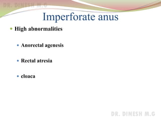 Imperforate anus
 High abnormalities
 Anorectal agenesis
 Rectal atresia
 cloaca
 